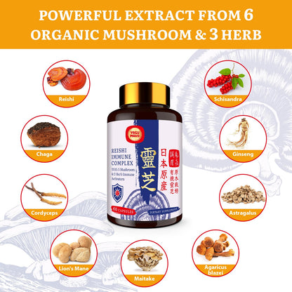 Japanese Reishi 1500mg – 9-in-1 Organic Mushroom Capsules (Immune & Brain)