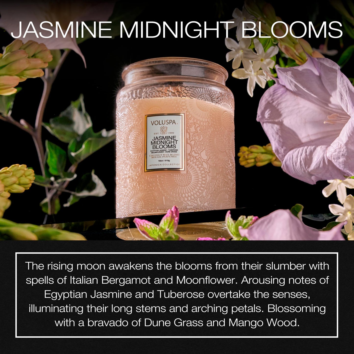 Japonica Collection Large - Jasmine Midnight Blooms by Voluspa | 18 oz Candle – Unisex
