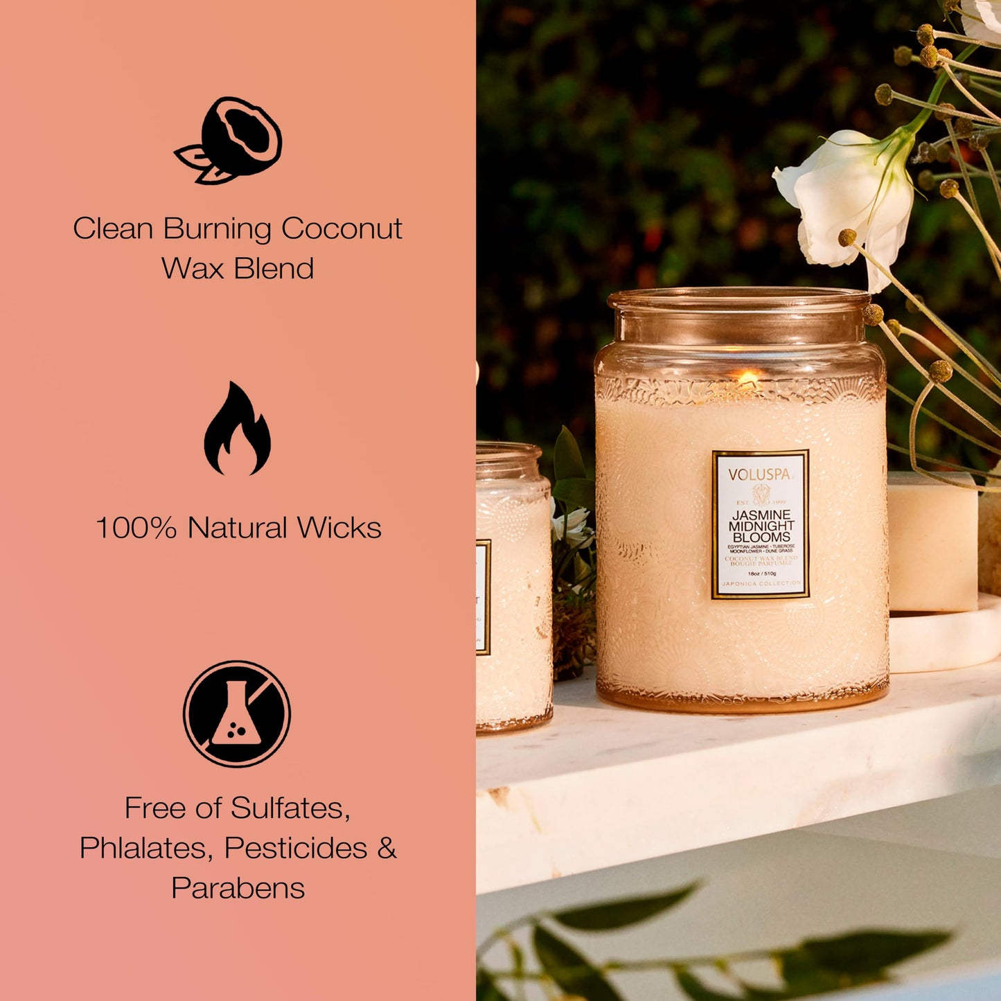 Japonica Collection Large - Jasmine Midnight Blooms by Voluspa | 18 oz Candle – Unisex