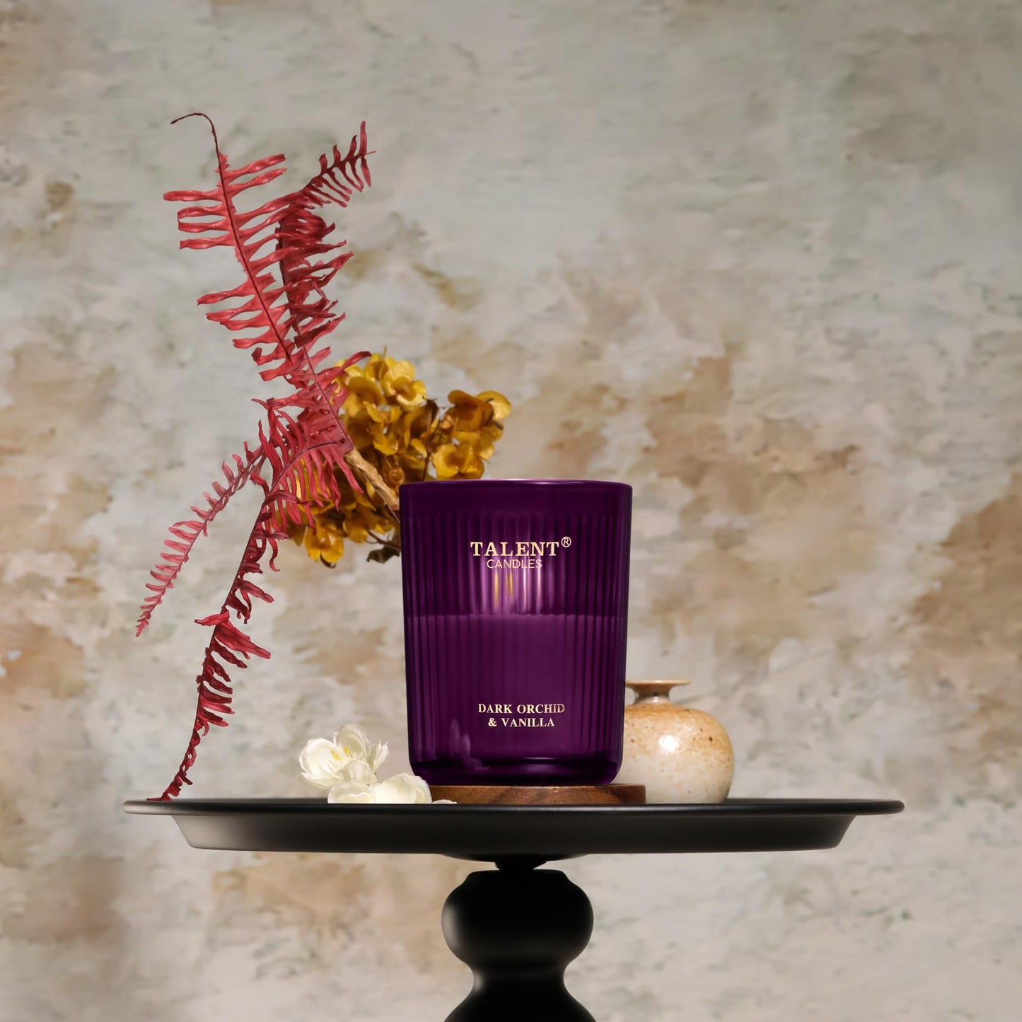 Jar Candles for Home Scented, Aromatherapy Gifts for Women & Men | Natural Soy 8.4oz Dark Orchid & Vanilla