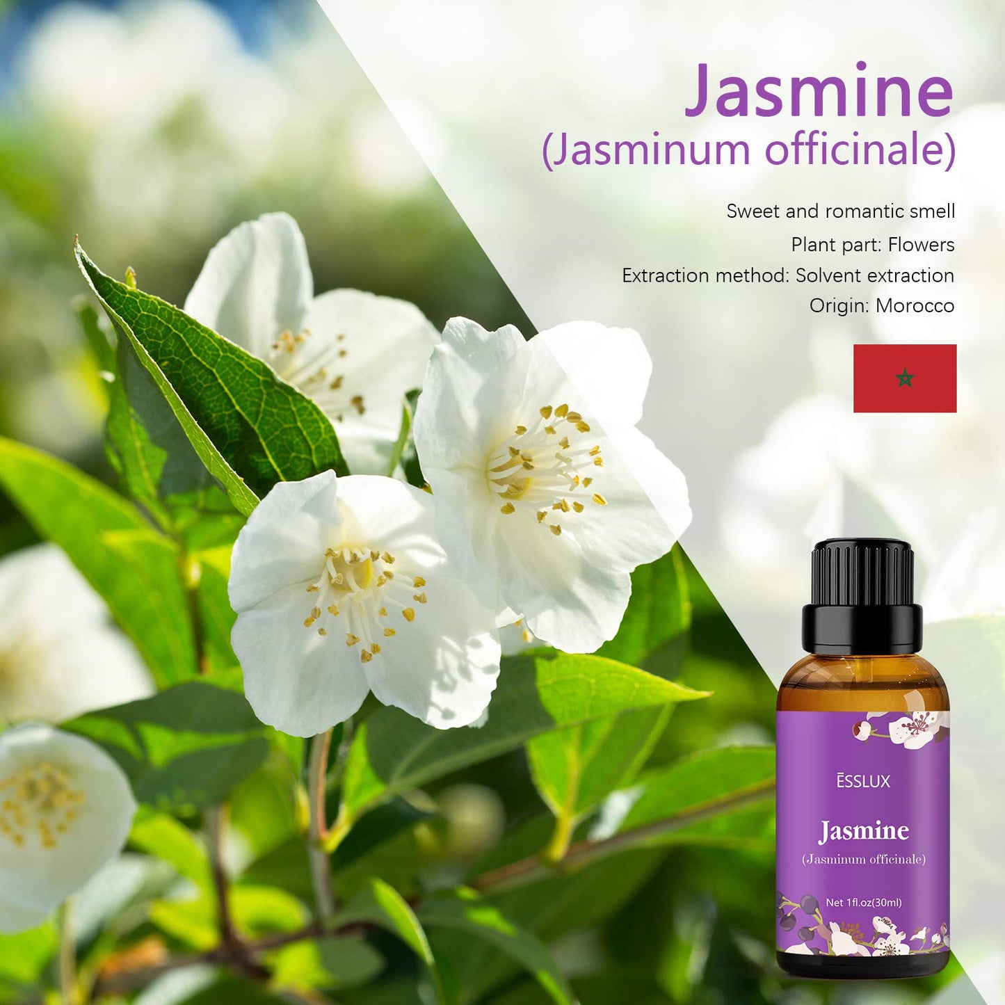 Jasmine Essential Oil – ESSSLUX 30 ml for Diffuser, Massage & Candles