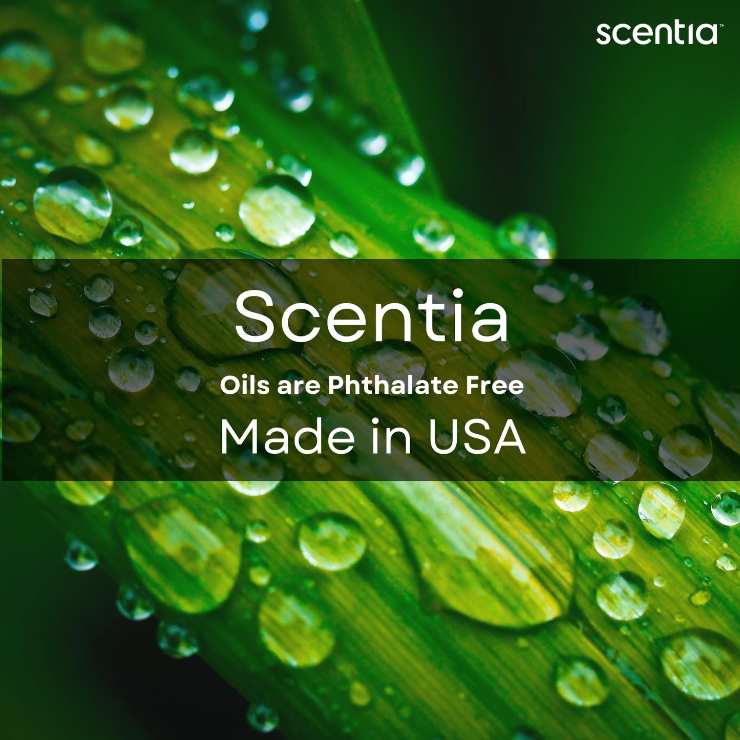 Scentia Nobu Essence Diffuser Oil – 500 mL | Inspired by Nobu Hotel Scent