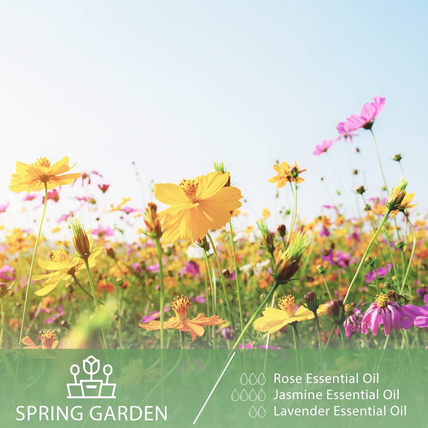 Jasmine Essential Oil 30ml | PHATOIL Long-Lasting Jasmine Oil for Aromatherapy, Diffusers, DIY Soap & Candles