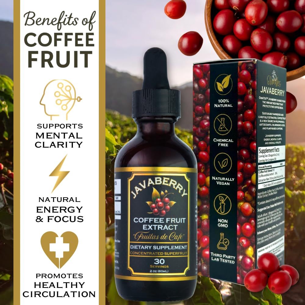 Javaberry Coffee Fruit Extract – Nootropic Brain Support for Memory, Focus, & Energy – Natural Antioxidant Supplement Supporting Healthy NAD+ Function – 60ml (Liquid Drops)