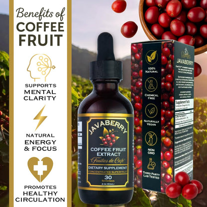 Javaberry Coffee Fruit Extract – Nootropic Brain Support for Memory, Focus, & Energy – Natural Antioxidant Supplement Supporting Healthy NAD+ Function – 60ml (Liquid Drops)