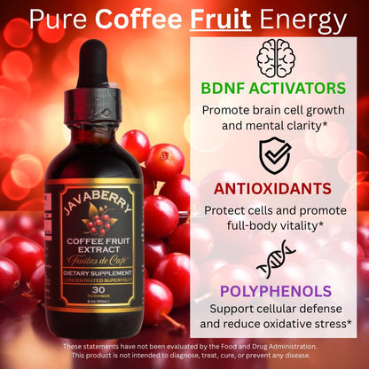 Javaberry Coffee Fruit Extract – Nootropic Brain Support for Memory, Focus, & Energy – Natural Antioxidant Supplement Supporting Healthy NAD+ Function – 60ml (Liquid Drops)