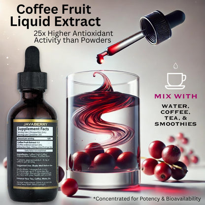 Javaberry Coffee Fruit Extract – Nootropic Brain Support for Memory, Focus, & Energy – Natural Antioxidant Supplement Supporting Healthy NAD+ Function – 60ml (Liquid Drops)