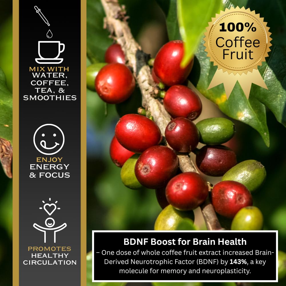 Javaberry Coffee Fruit Extract – Nootropic Brain Support for Memory, Focus, & Energy – Natural Antioxidant Supplement Supporting Healthy NAD+ Function – 60ml (Liquid Drops)