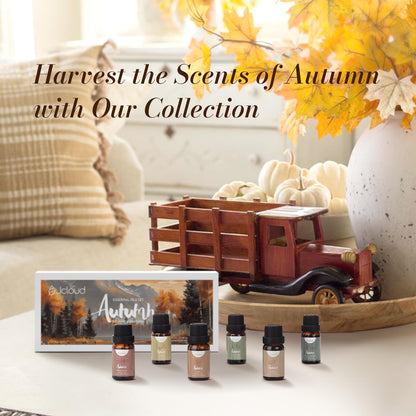 JCLOUD Fall Essential Oils for Diffusers - 6x10mL Autumn Gift Set (Black Vanilla, Cinnamon & Santal)