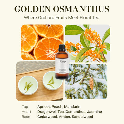 JCLOUD Golden Osmanthus Hotel Diffuser Oil | Luxury Natural Fragrance for Home & Spa