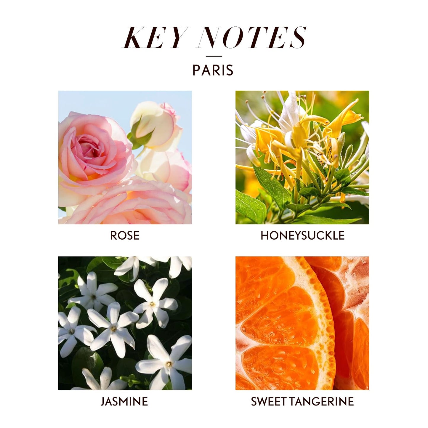 JCLOUD Paris Essential Oil for Diffuser – Luxury Hotel Scent with Rose, Jasmine & Honeysuckle (10mL)