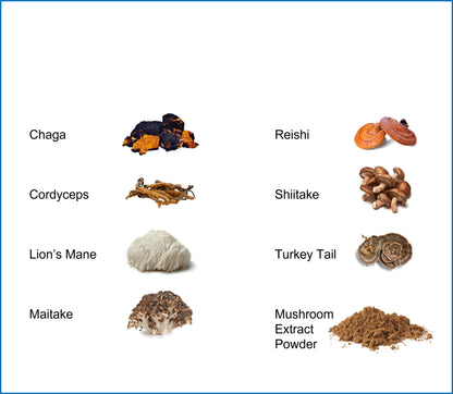 Jetsu Pure 7 Organic Mushroom Extract Powder, Chaga, Cordyceps, Lion's Mane, Maitake, Reishi, Shiitake & Turkey Tail Mushrooms Supplement, for Immune Support, Focus, Energy