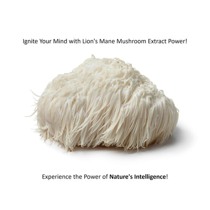 Jetsu Pure 7 Organic Mushroom Extract Powder, Chaga, Cordyceps, Lion's Mane, Maitake, Reishi, Shiitake & Turkey Tail Mushrooms Supplement, for Immune Support, Focus, Energy