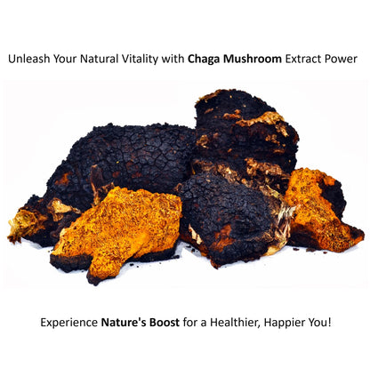 Jetsu Pure 7 Organic Mushroom Extract Powder, Chaga, Cordyceps, Lion's Mane, Maitake, Reishi, Shiitake & Turkey Tail Mushrooms Supplement, for Immune Support, Focus, Energy
