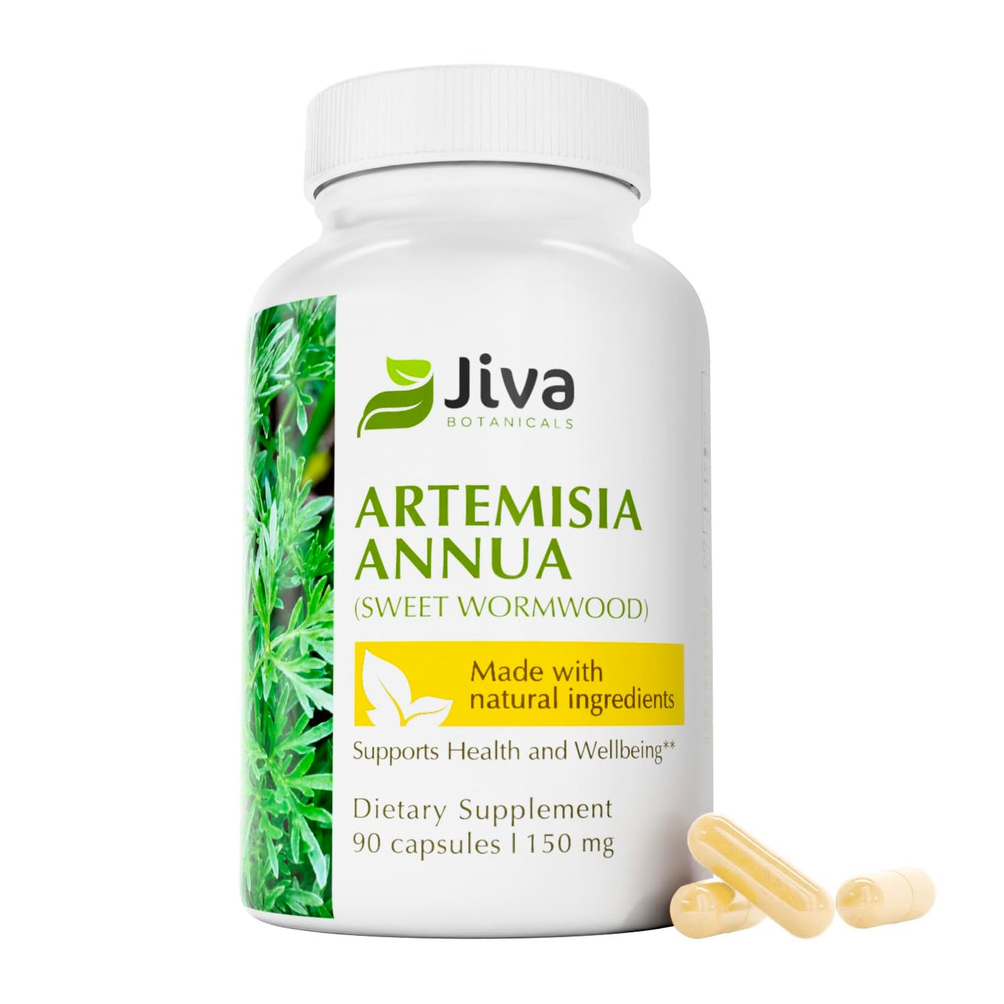 Jiva Botanicals Artemisia Annua Wormwood Capsules – Immune & Liver Health – USA Made (90 Capsules)
