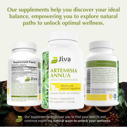 Jiva Botanicals Artemisia Annua Wormwood Capsules – Immune & Liver Health – USA Made (90 Capsules)