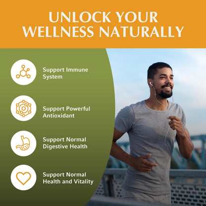 Jiva Botanicals Artemisia Annua Wormwood Capsules – Immune & Liver Health – USA Made (90 Capsules)