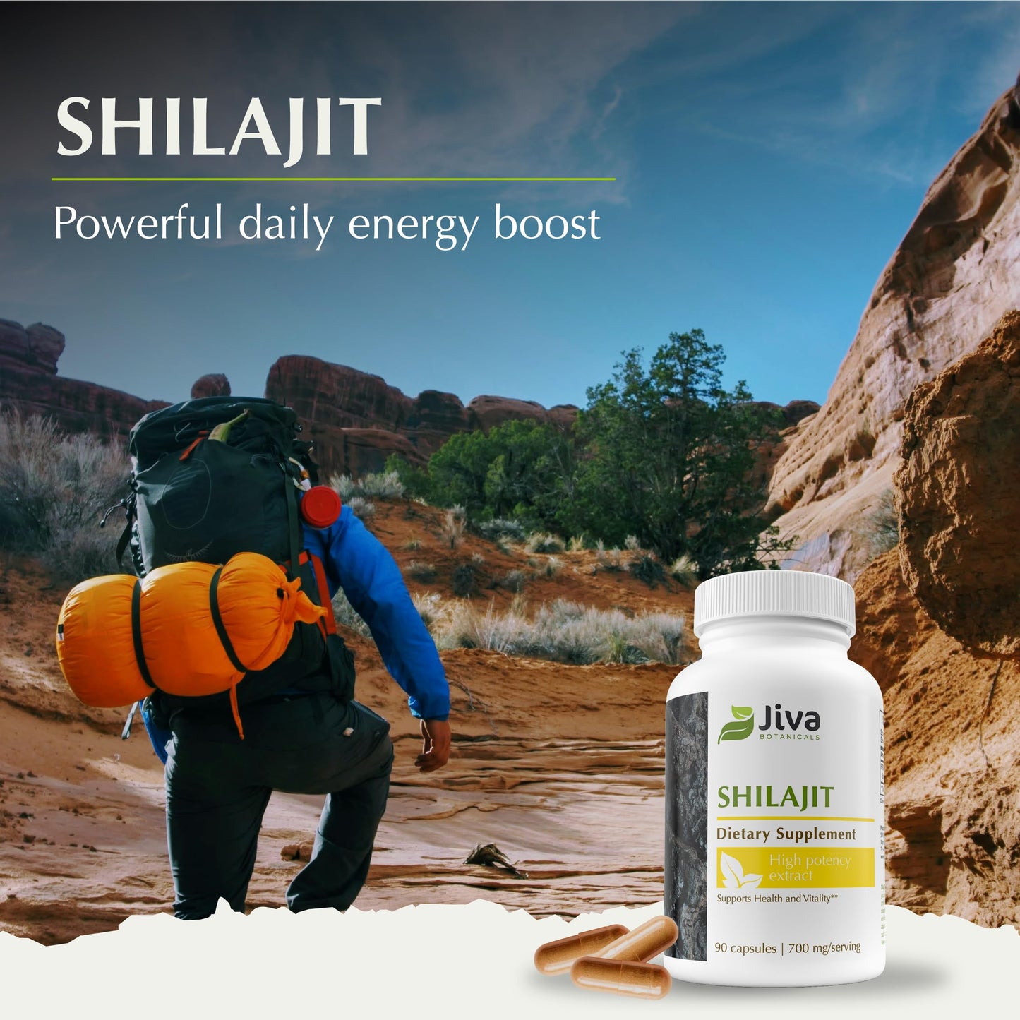 Jiva Botanicals Shilajit Capsules 700 mg – Fulvic Acid, 90 Vegan Caps