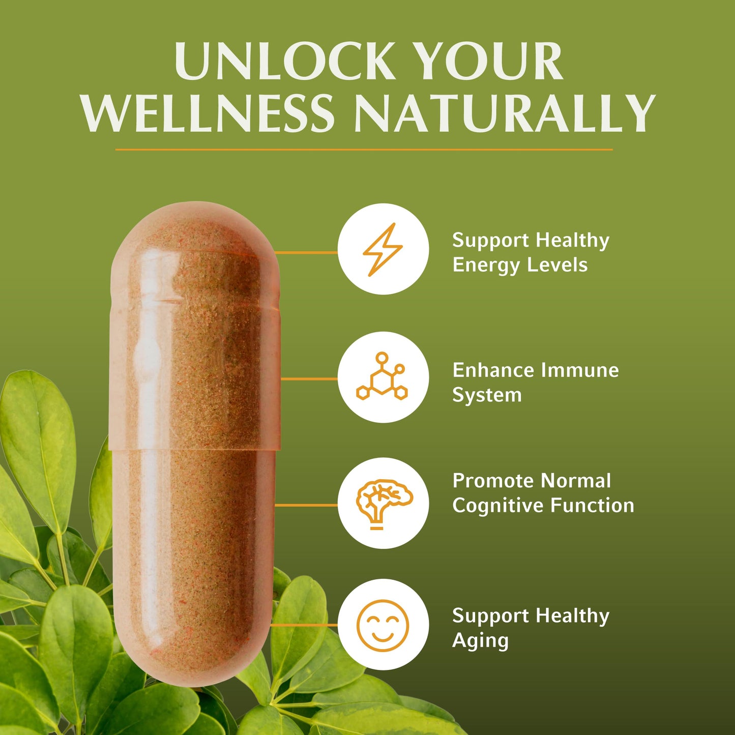 Jiva Botanicals Shilajit Capsules 700 mg – Fulvic Acid, 90 Vegan Caps