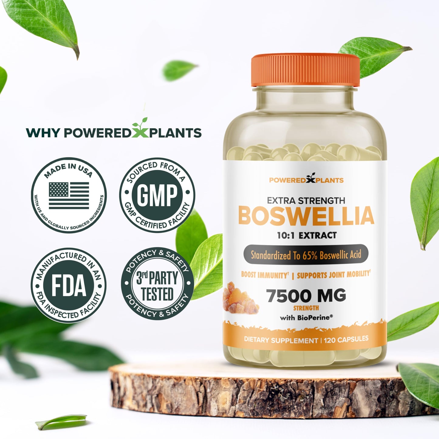 Boswellia Serrata Extract Joint Support – Powered by Plants | 65% Boswellic Acids + BioPerine | 120 Vegan Capsules