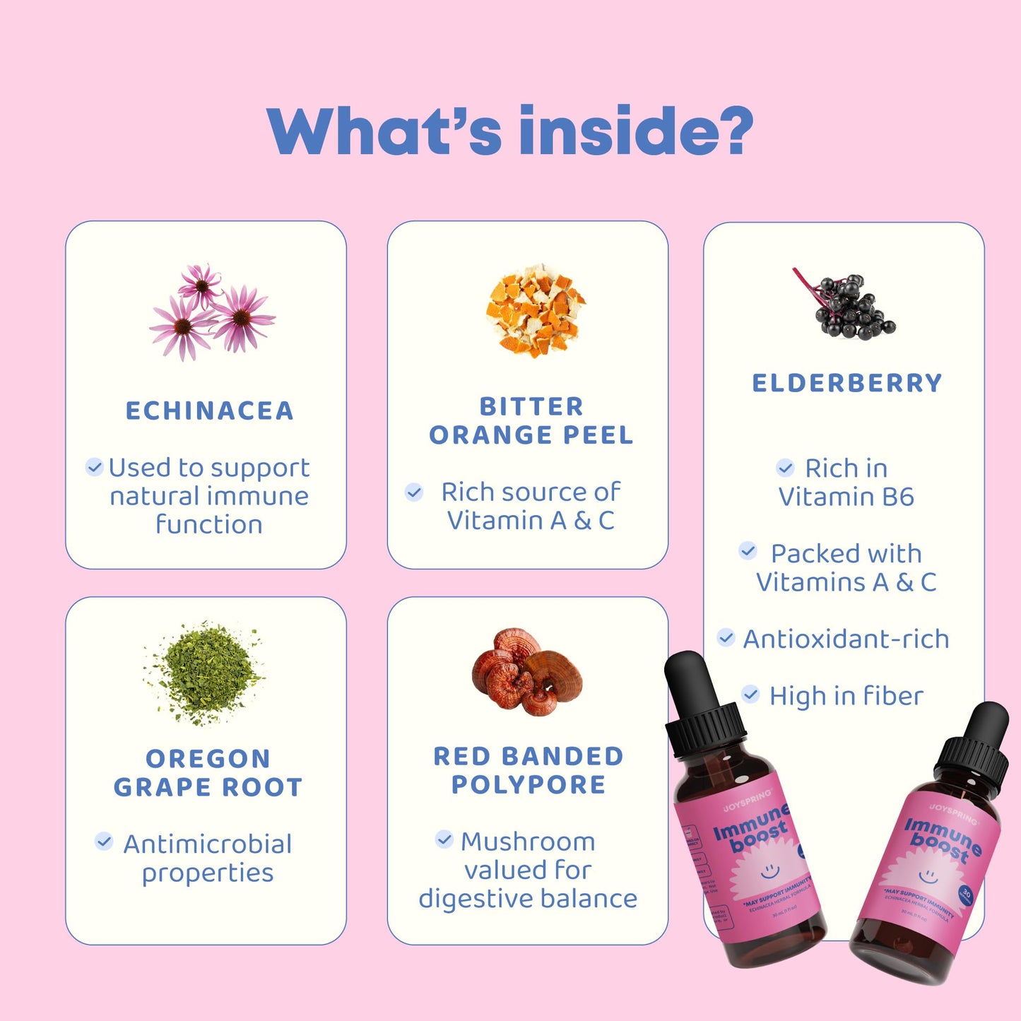 JoySpring Immune Drops - Family Immunity Support (1 oz, 30 Servings) with Organic Elderberry