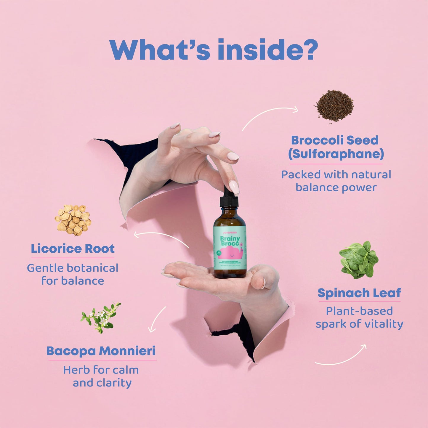 JoySpring Broccoli Supplement for Kids | Sulforaphane Drops with Bacopa Monnieri