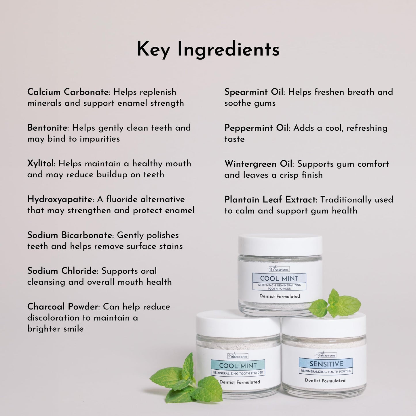 Just Ingredients Remineralizing Tooth Powder - Fluoride-Free Whitening, Vegan, 1 oz