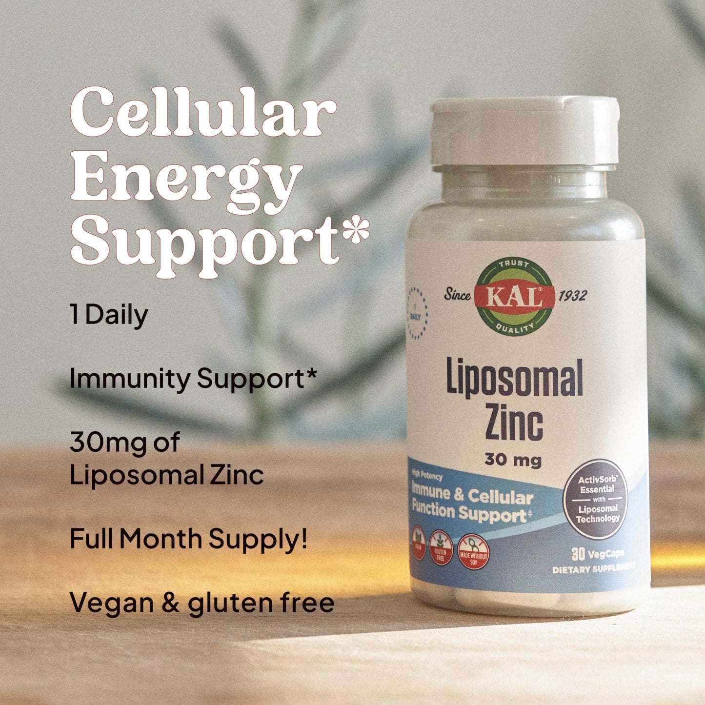 KAL Liposomal Zinc 30mg – Immune Support, Enhanced Absorption, Vegan | 30 Servings