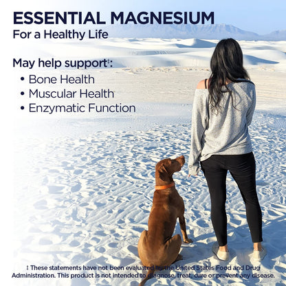KAL Magnesium Glycinate Tablets – 240 Count, High Absorption, Vegan