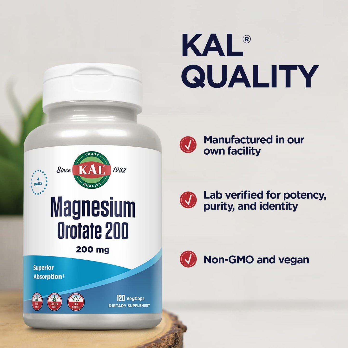 KAL Magnesium Orotate 200 mg – Superior Absorption Chelated Magnesium | Bones, Nerves & Muscles | 120 VegCaps