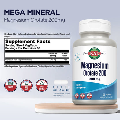 KAL Magnesium Orotate 200 mg – Superior Absorption Chelated Magnesium | Bones, Nerves & Muscles | 120 VegCaps