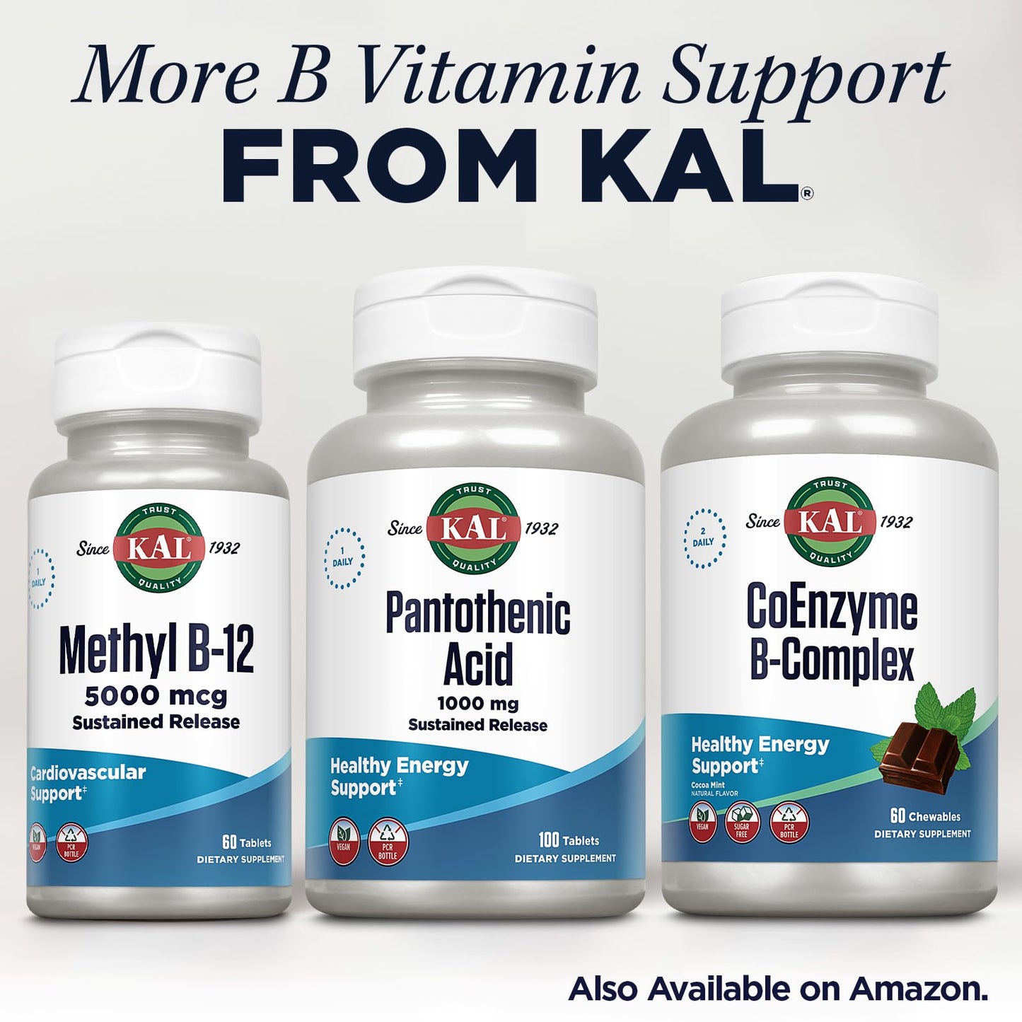 KAL Pantothenic Acid 1000mg - Sustained Release Vitamin B5 for Energy & Metabolism | Vegan