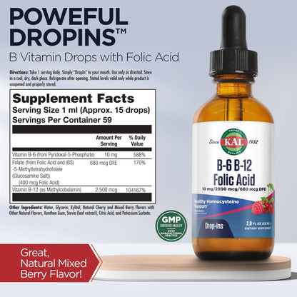 KAL Vitamin B-6 B-12 Folic DropIns – Berry Liquid B-Complex, 59 Servings, 2 oz