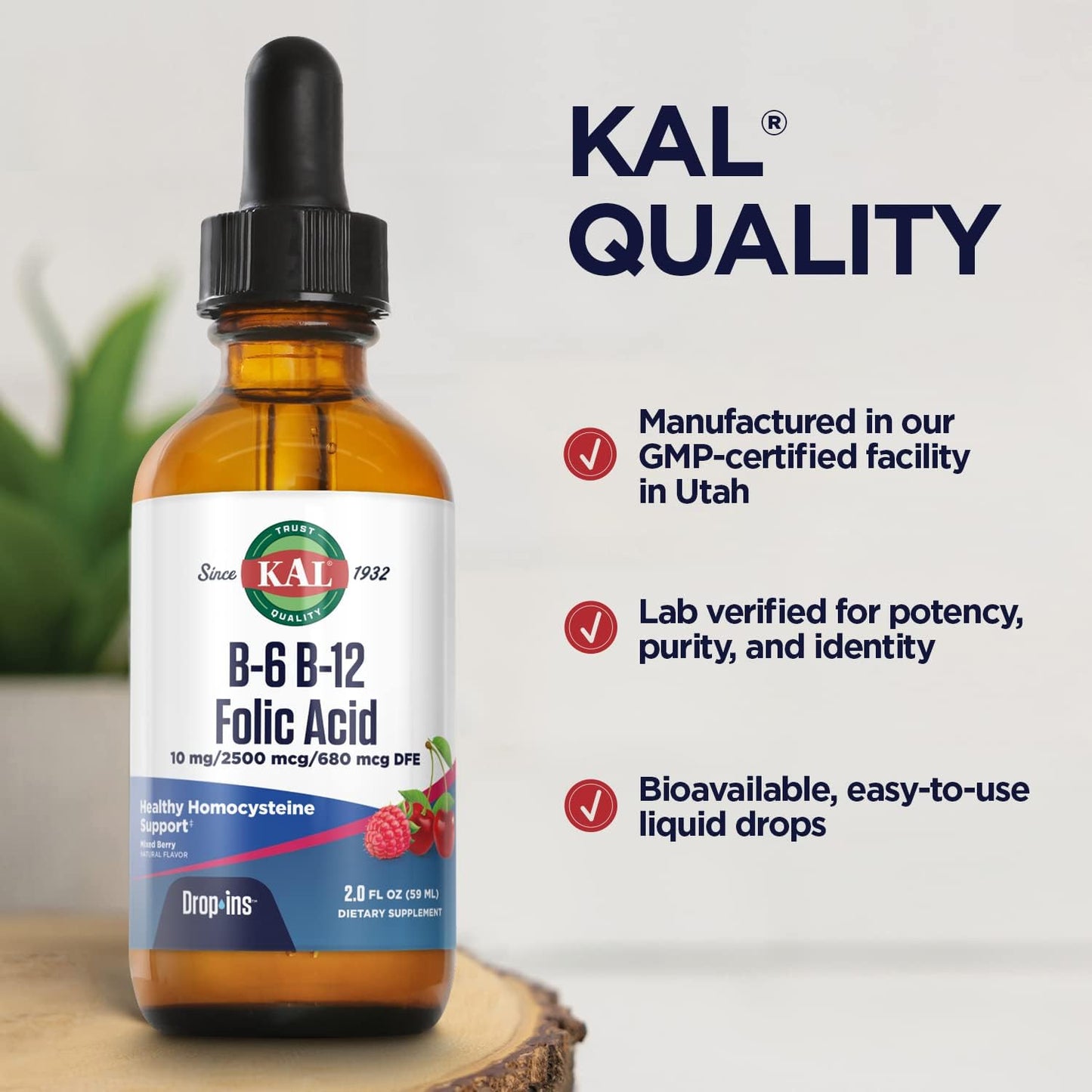 KAL Vitamin B-6 B-12 Folic DropIns – Berry Liquid B-Complex, 59 Servings, 2 oz