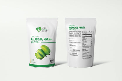 Kalanchoe Pinnata Leaves Powder – Premium Dried Leaf of Life