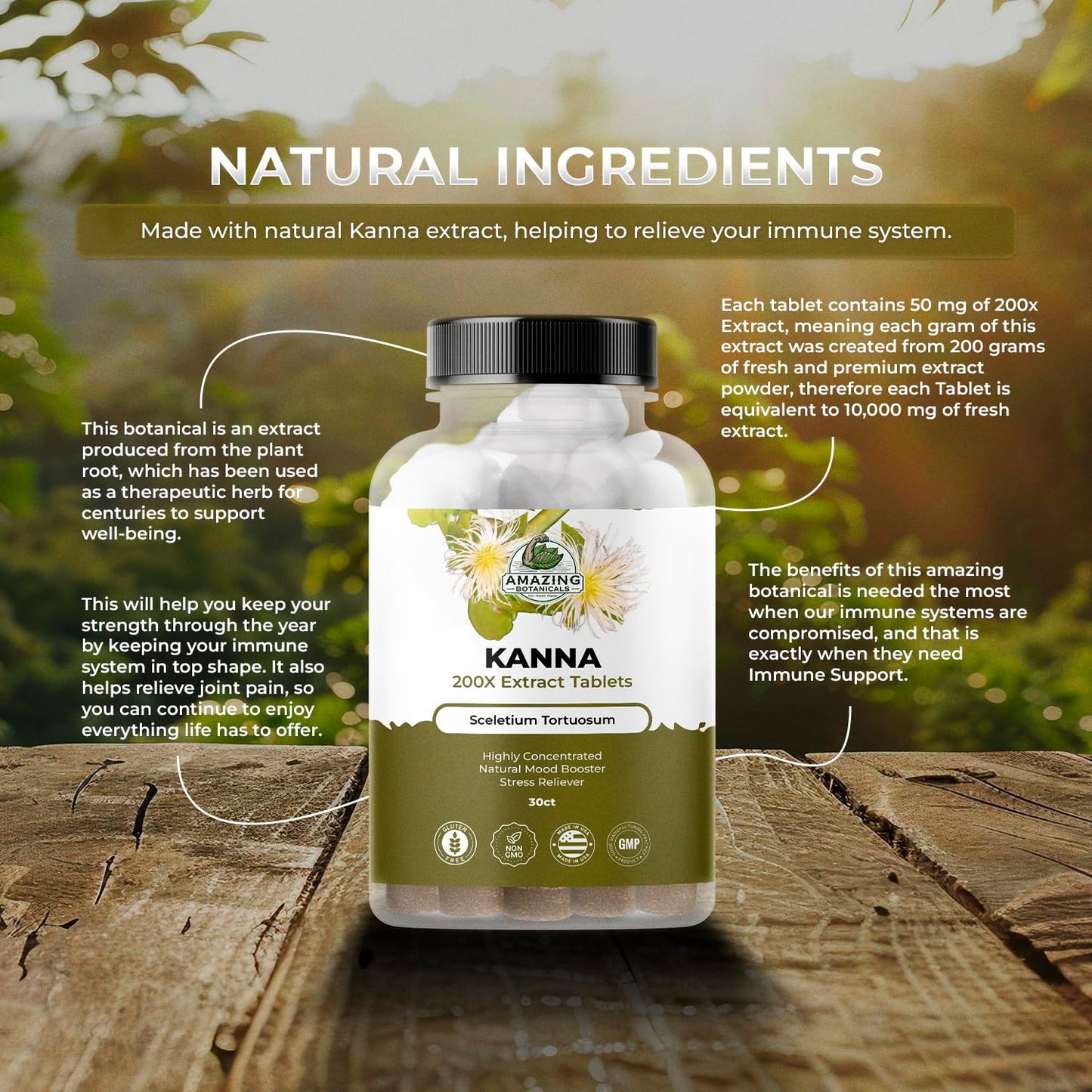 Amazing Botanicals Kanna Extract Tablets – Sceletium Tortuosum (10,000 mg per Tablet) – 30 Tablets