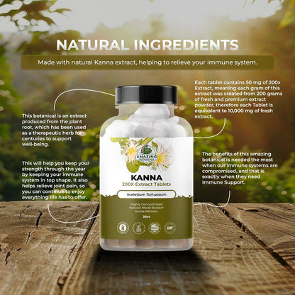 Amazing Botanicals Kanna Extract Tablets – Sceletium Tortuosum (10,000 mg per Tablet) – 30 Tablets