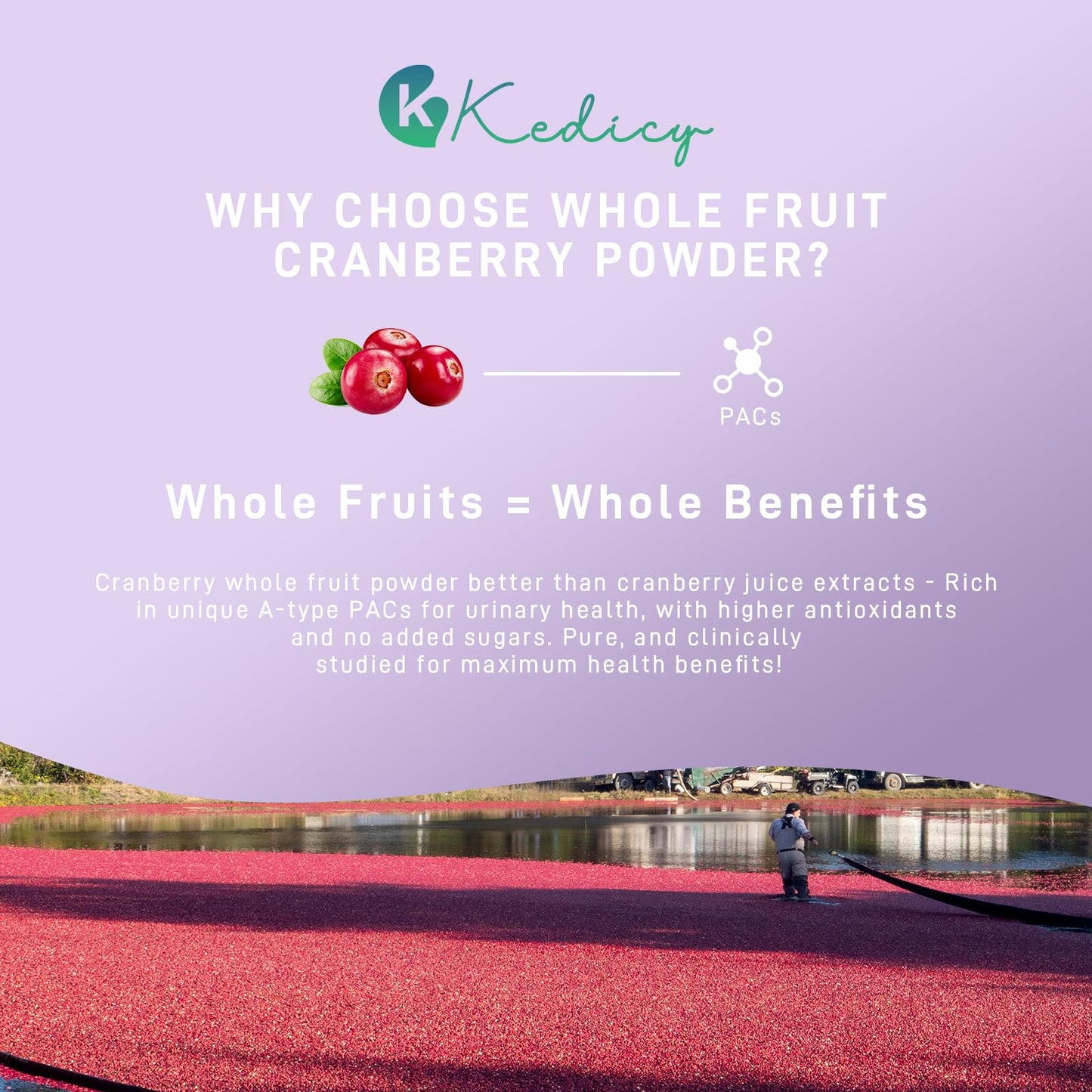 Kedicy Cranberry Pills for Women – 36 mg Soluble PACs | UTI Defense | 60 Caps