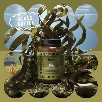 Raw Sea Kelp Powder Capsules 600mg – 100 Vegetarian, Gluten-Free, Thyroid Support