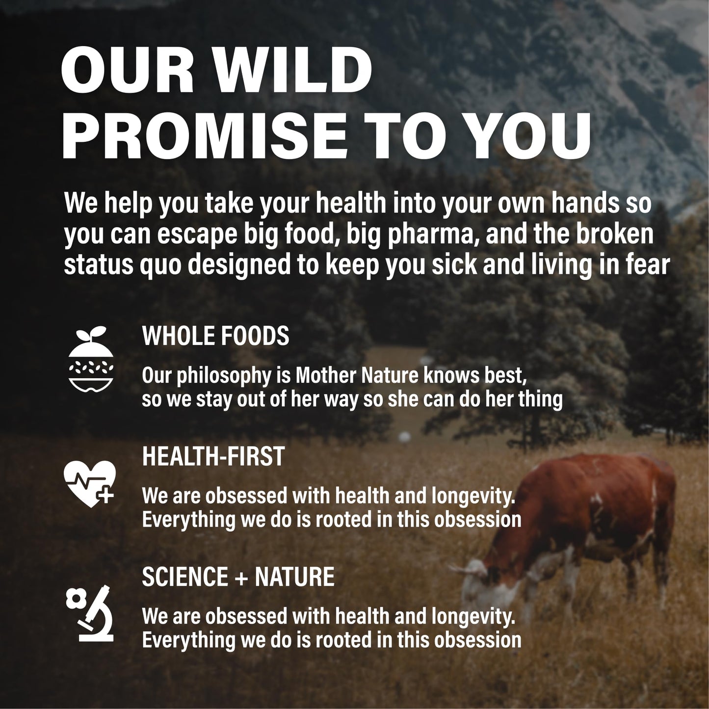 Wild Foods Beef Liver Capsules - 3000mg Grass-Fed & Pasture-Raised | 120 Softgels