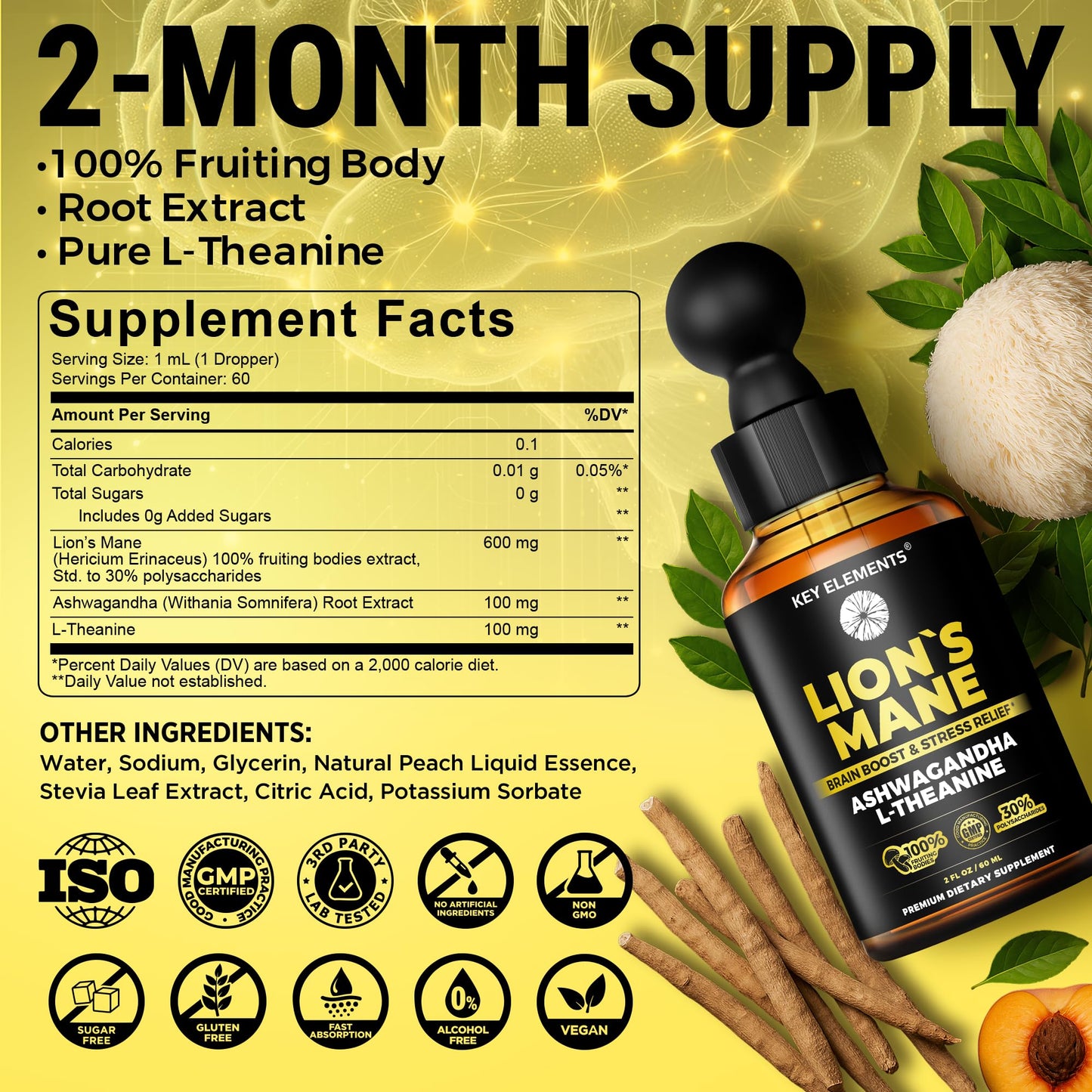 KEY ELEMENTS Lions Mane Extract for Memory, Focus & Brain Health – Tincture with Ashwagandha & L-Theanine