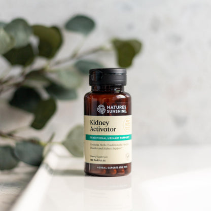 Nature's Sunshine Kidney Activator Capsules – 100 Capsules | Herbal Kidney Support