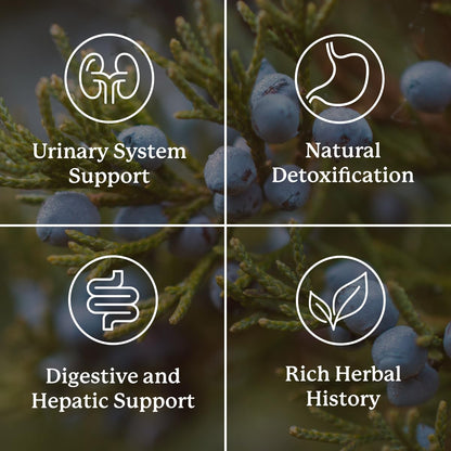 Nature's Sunshine Kidney Activator Capsules – 100 Capsules | Herbal Kidney Support