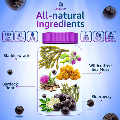 LetaGreen Irish Sea Moss Gummies – Multimineral with Bladderwrack & Elderberry (60 Vegan Gummies)