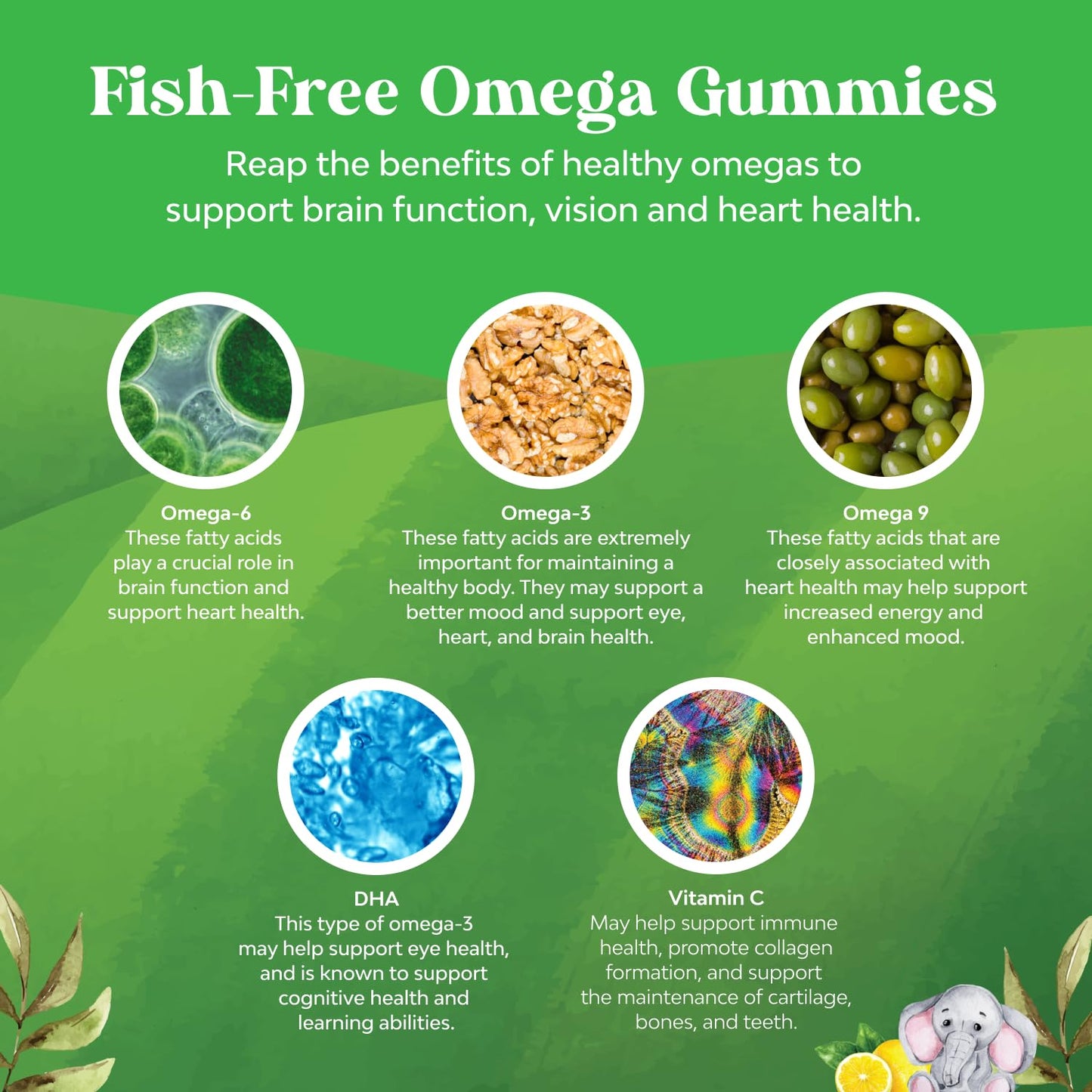 Kids DHA Omega-3 Gummies – Vegan, Fish-Free, Non-GMO | 60 Chews for Brain & Vision