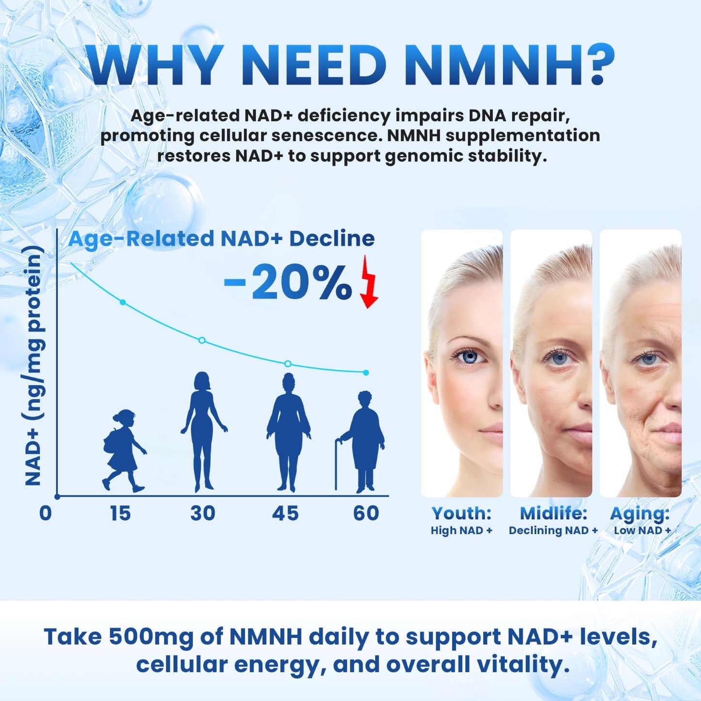 Kinetara NMNH NMN Supplement Alternative – NAD+ Support for Cellular Health & Healthy Aging | 60 Capsules