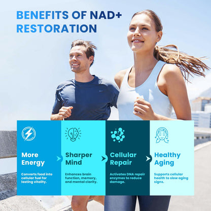 Kinetara NMNH NMN Supplement Alternative – NAD+ Support for Cellular Health & Healthy Aging | 60 Capsules