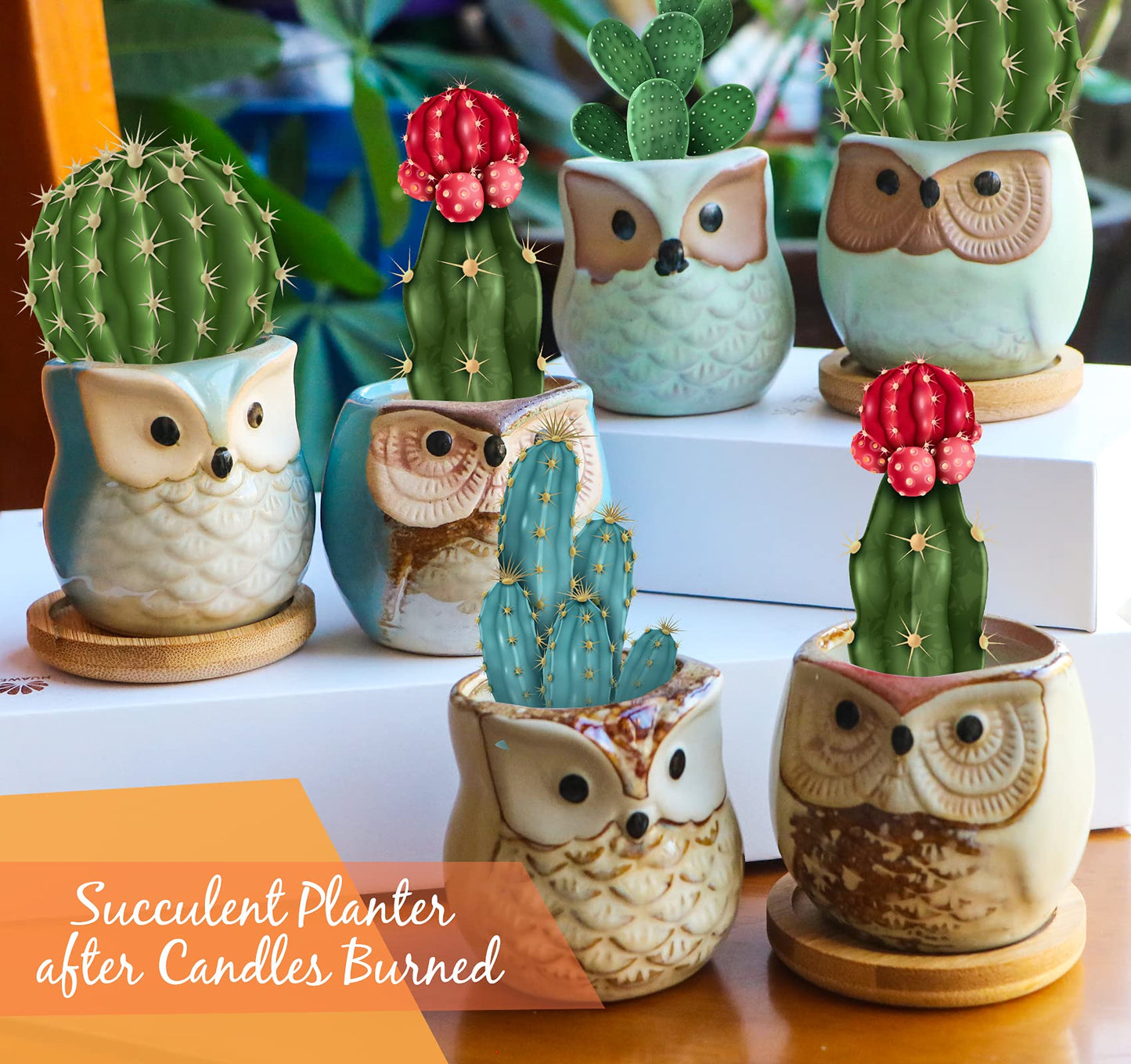 Kinforse Scented Candles Gift Set - 6-Pack Owl Aromatherapy Candles for Women | Birthday & Holiday Gifts