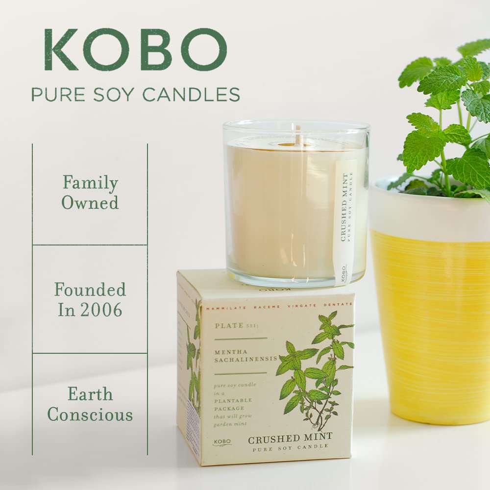 KOBO Catalan Calendula Candle with Plantable Box - 9 oz, 100% Soy, Hand-Poured in USA