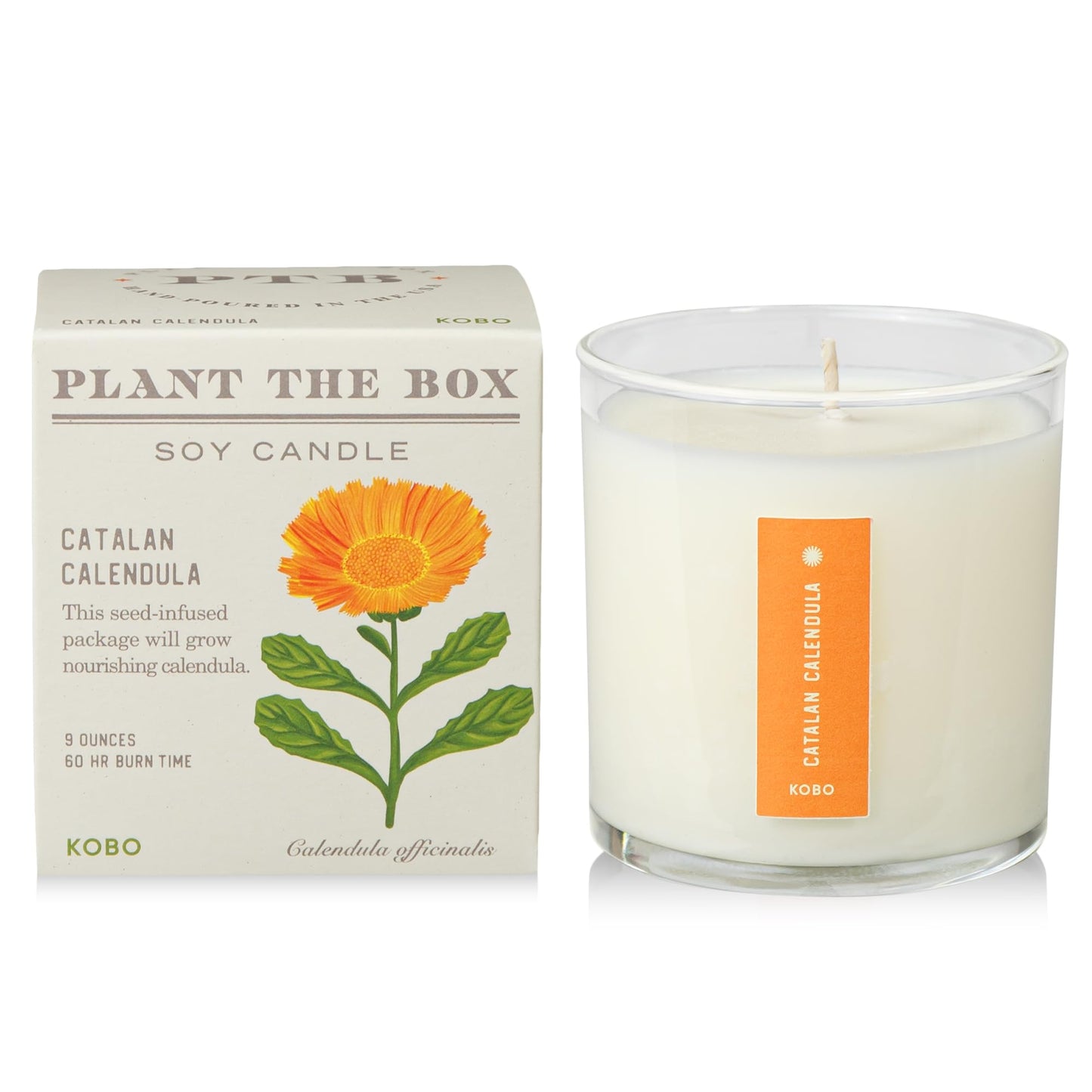 KOBO Catalan Calendula Candle with Plantable Box - 9 oz, 100% Soy, Hand-Poured in USA